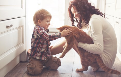 Mum sat on the kitchen floor holding ginger tabby cat whilst the young son is petting it