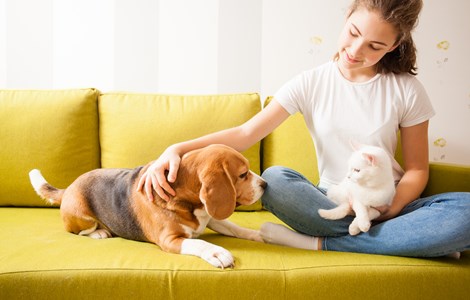 Girl sat with dog and cat on the sofa