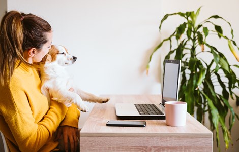 Woman sat with dog on her knee at desk with laptop