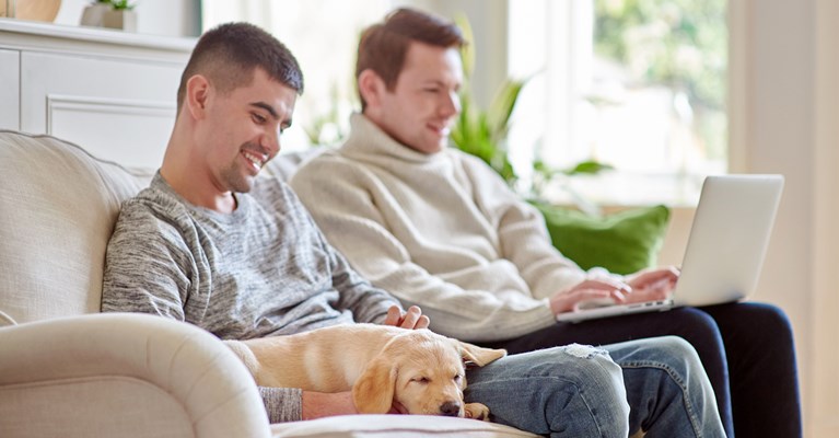 Two males sat on sofa with puppy and looking on the laptop