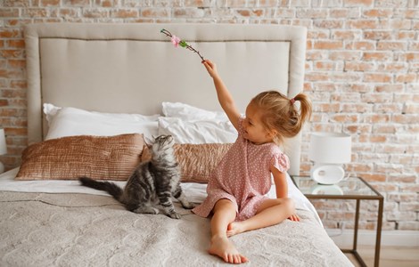 Little girl playing with cute kitten at home on double bed