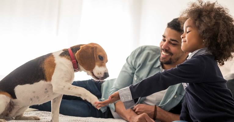 Smiling man and child shaking hands with cute beagle puppy