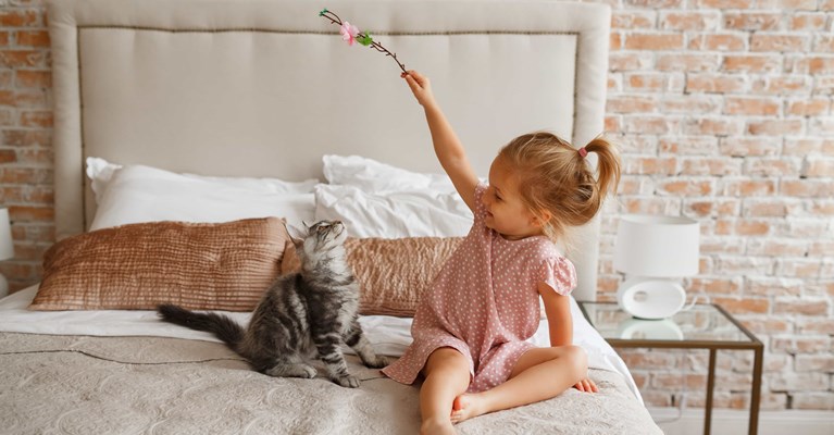 Little girl playing with cute kitten at home on double bed