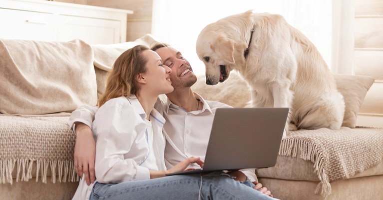 Young couple at home buying pet insurance on laptop smiling and looking at their Labrador dog