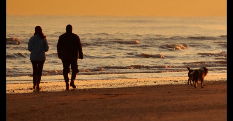 A dog and its owners walking along a beach