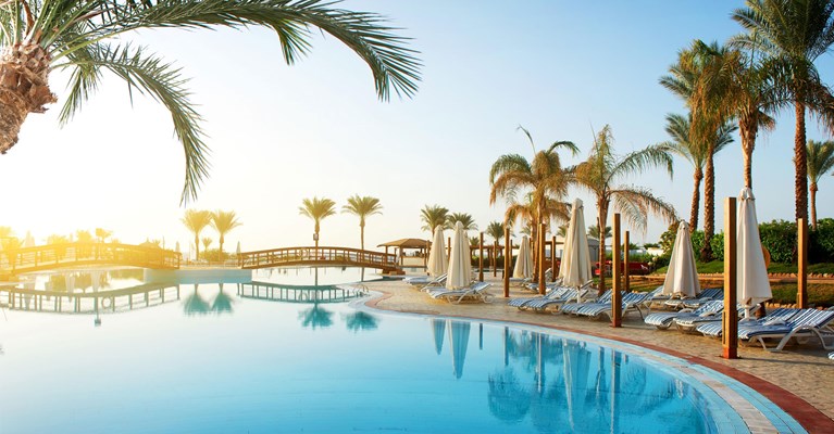 poolside holiday with palm trees