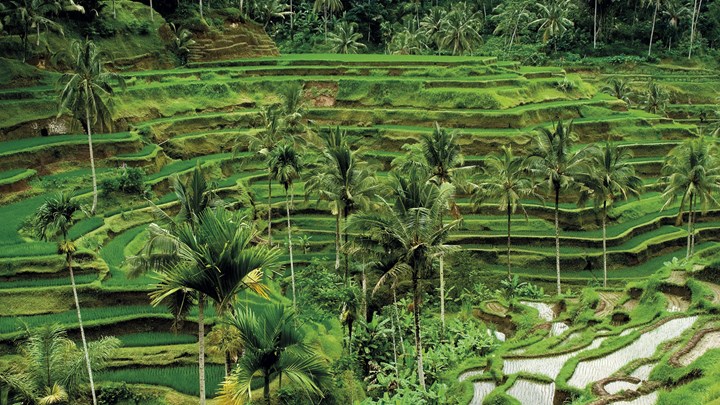 bali landscape steppes