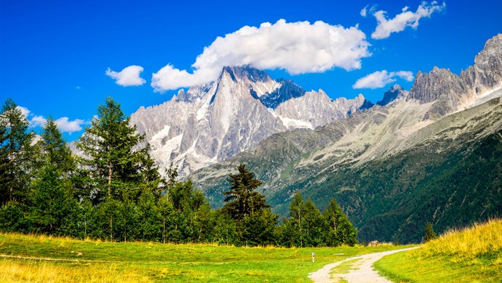 sunny landscape of the alps