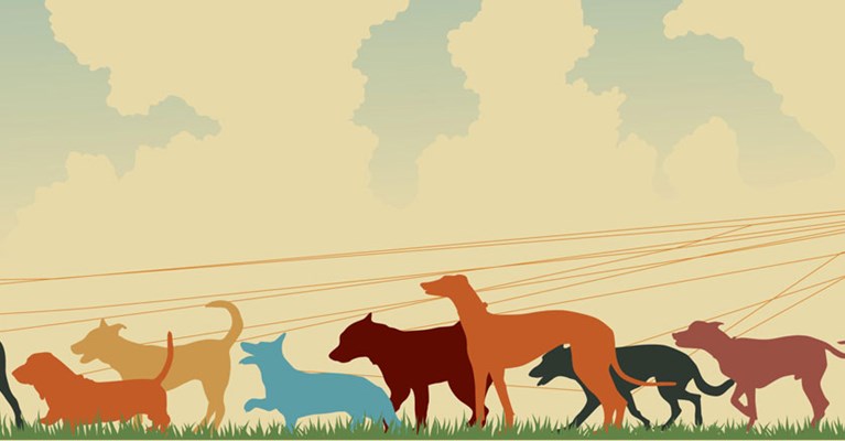 illustration of many dogs