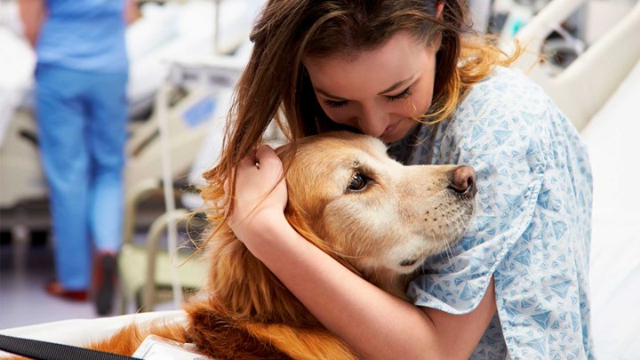 woman hugging dog, therapy dog