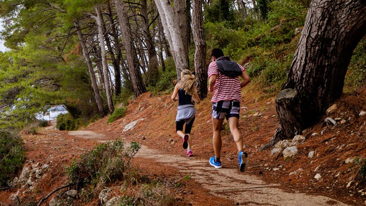 people jogging in the woods