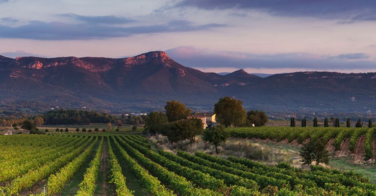 Crop field in front of a mountain