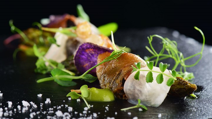 An appetizer dish