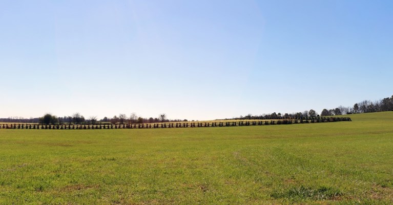 A field on a sunny day