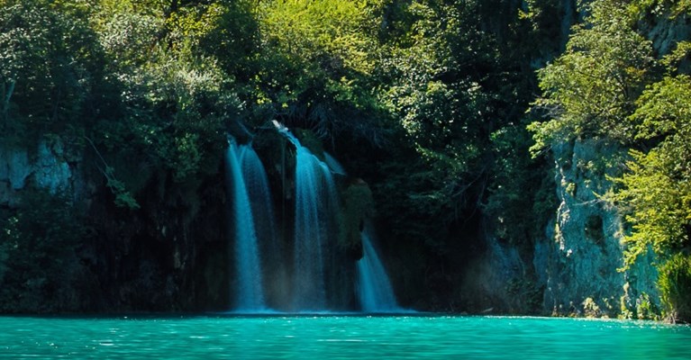 Leafy blue lagoon