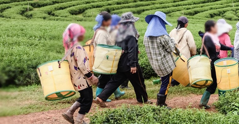 Workers in a crop field