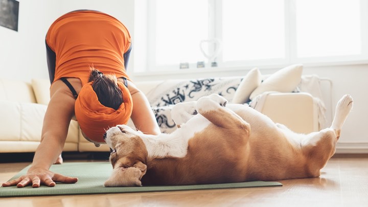 woman and a dog doing yoga