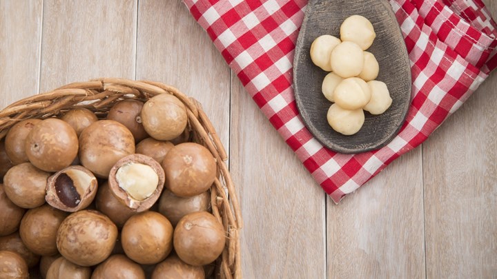 a bowl of macadamia nuts