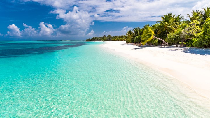 white sands beach in the maldives