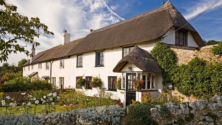 thatched cottage and garden on a sunny day