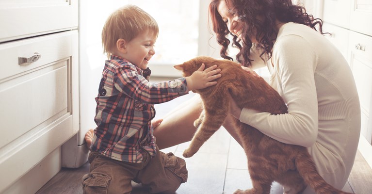 Mum sat on the kitchen floor holding ginger tabby cat whilst the young son is petting it