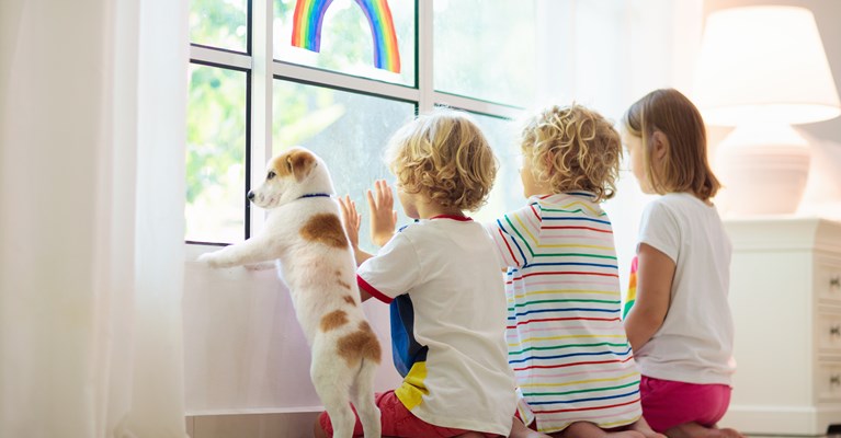 Three young children stood looking out of a bedroom window with their small white dog with brown spots