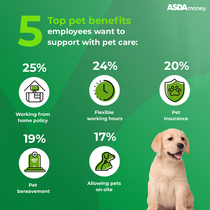 Graphic with icons and statistics and puppy