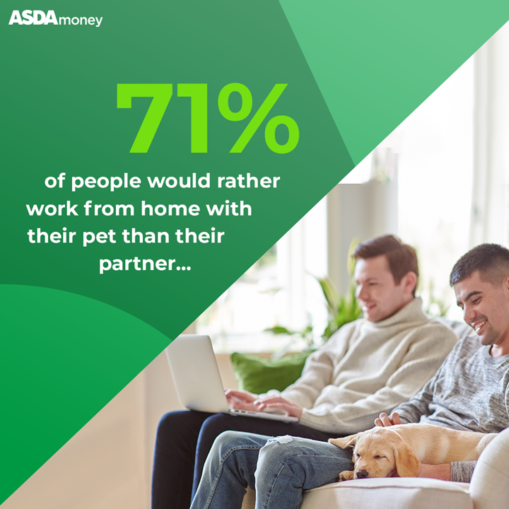 Graphic featuring male couple sat with laptop and puppy on the sofa