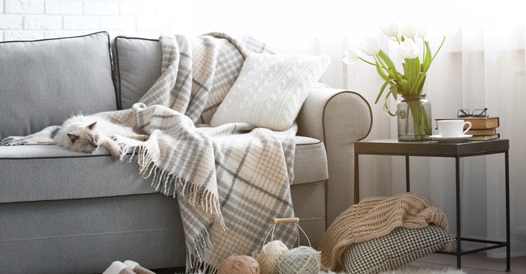 Cat asleep on sofa with knitted blanket and wool