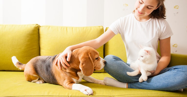 Girl sat with dog and cat on the sofa