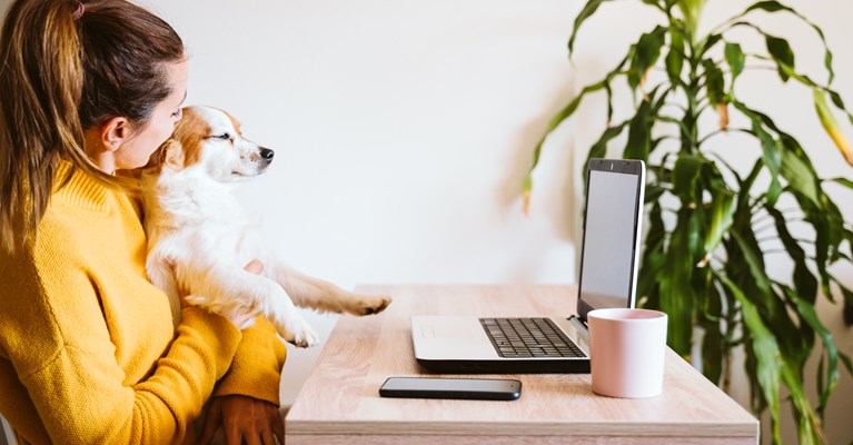 Woman sat with dog on her knee at desk with laptop