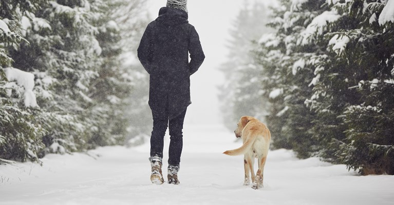 Male figure walking with dog in snow from behind