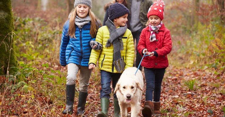 Family walking dog in the woods in autumn