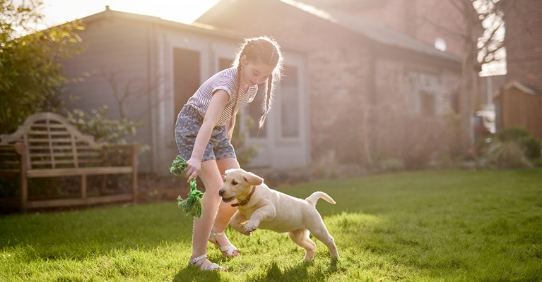 Young girl playing in the sun in the garden with puppy