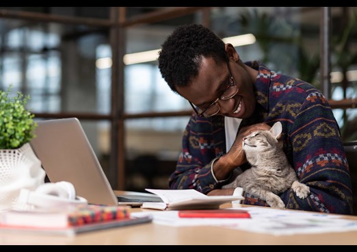 Man with glasses and laptop strokes cute kitten while buying pet insurance