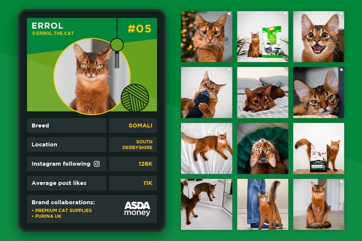 Pet Influencer top trump - Errol