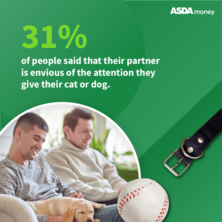 Puppy Love Statistic 3