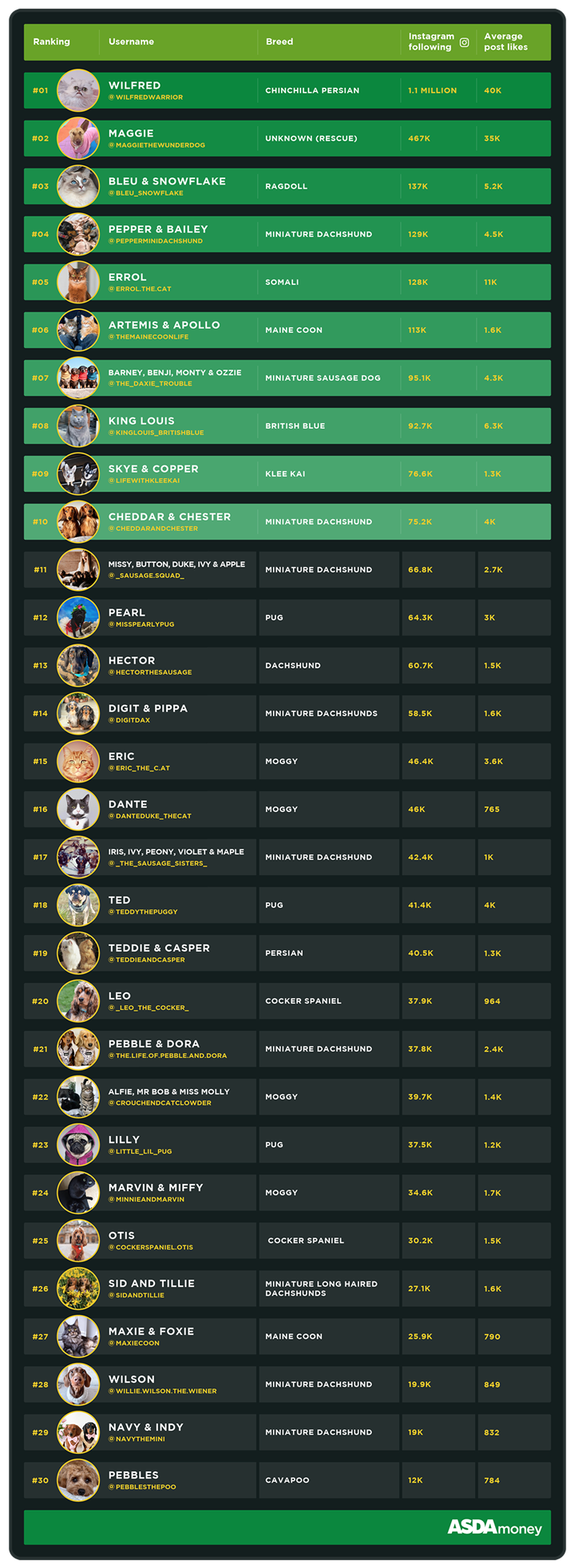 Table of pet influencers on social media