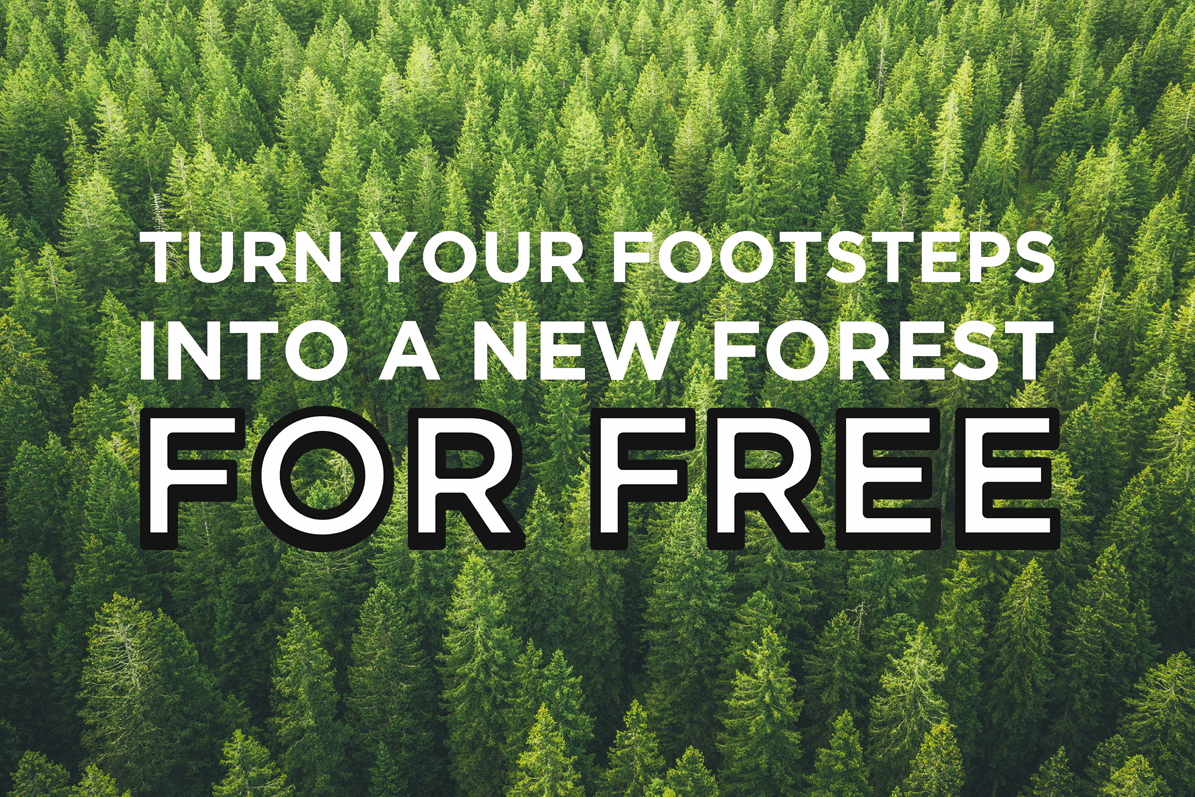 Turn your footsteps into a new forest for free