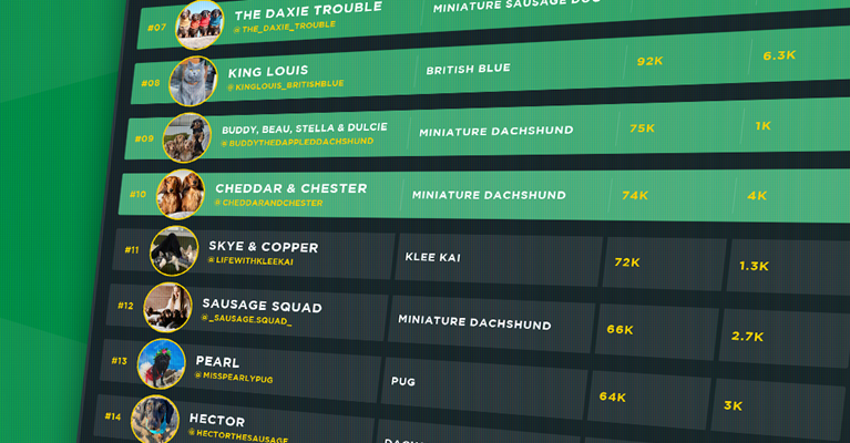Table of pet influencers on social media