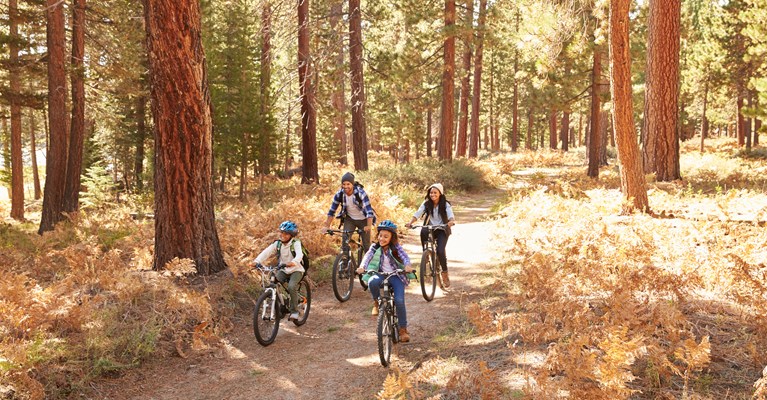 Family cycling in the woods